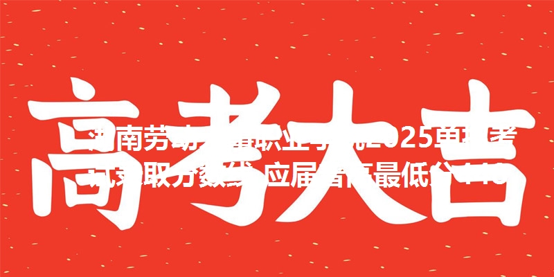 湖南劳动人事职业学院2025单招考试录取分数线 应届普高最低分448