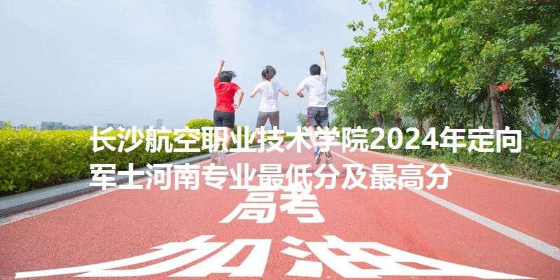 长沙航空职业技术学院录取分数线河南专业最低分及最高分