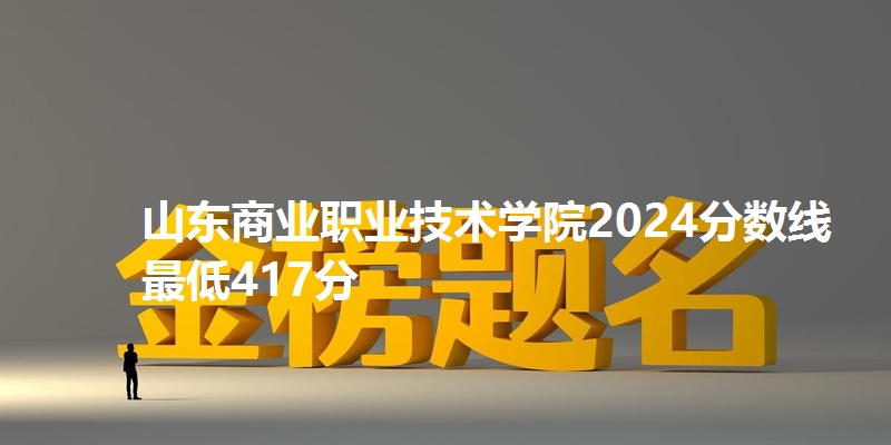 山东商业职业技术学院2024分数线最低417分