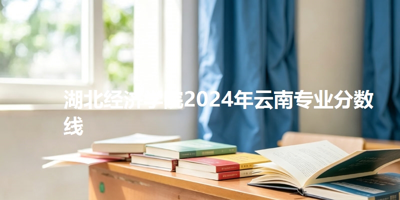 湖北经济学院2024年云南专业分数线