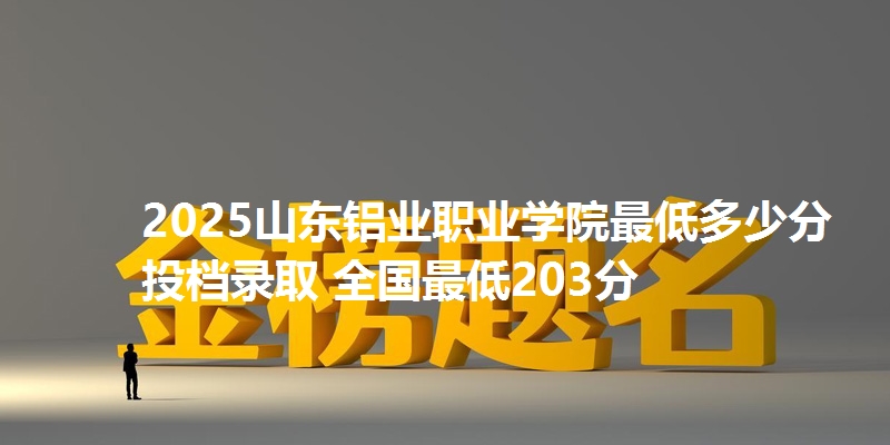 2025山东铝业职业学院最低多少分投档录取 全国最低203分