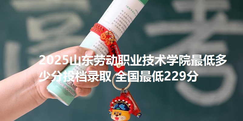 2025山东劳动职业技术学院最低多少分投档录取 全国最低229分