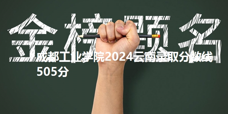 成都工业学院2024云南录取分数线505分