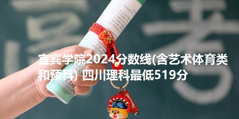 宜宾学院2024分数线(含艺术体育类和预科) 四川理科最低519分