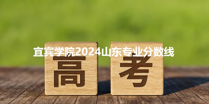 宜宾学院2024山东专业分数线