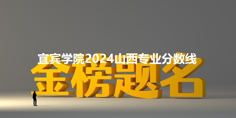 宜宾学院2024山西专业分数线
