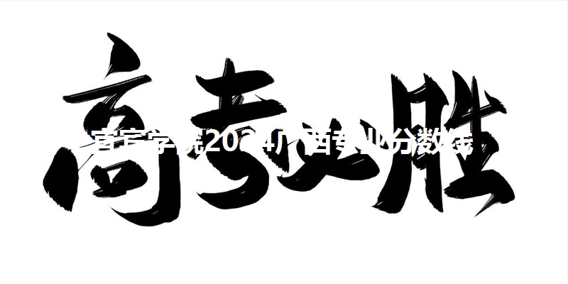 宜宾学院2024广西专业分数线