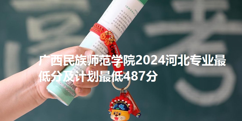 广西民族师范学院2024河北专业最低分及计划最低487分
