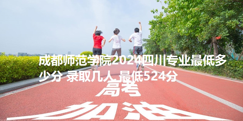 成都师范学院2024四川专业最低多少分 录取几人 最低524分
