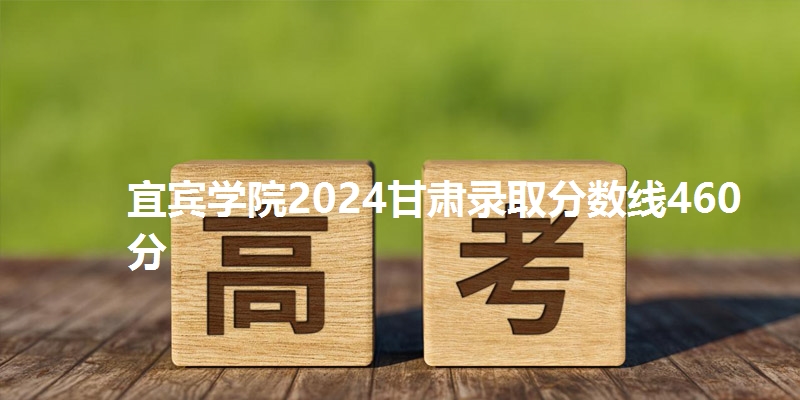 宜宾学院2024甘肃录取分数线460分
