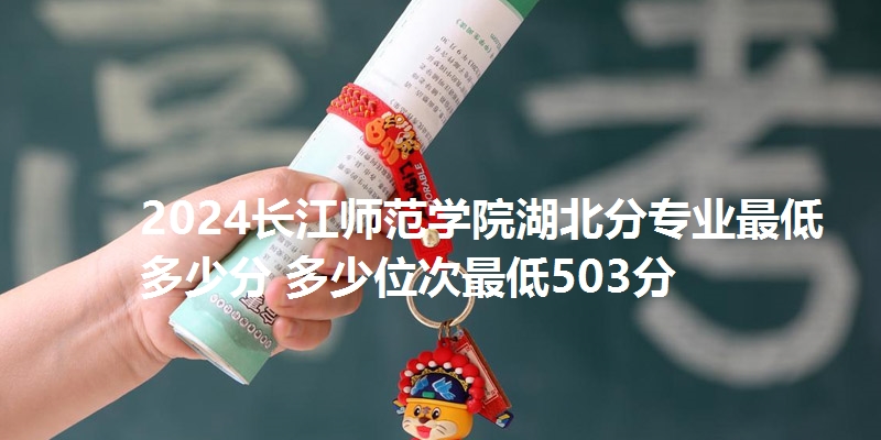 2024长江师范学院湖北分专业最低多少分 多少位次最低503分