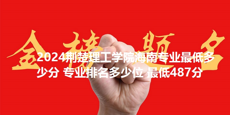 2024荆楚理工学院海南专业最低多少分 专业排名多少位 最低487分