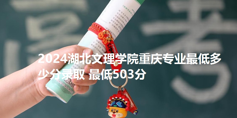2024湖北文理学院重庆专业最低多少分录取 最低503分