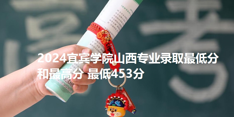 2024宜宾学院山西专业录取最低分和最高分 最低453分