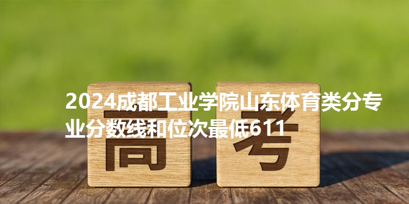 2024成都工业学院山东体育类分专业分数线和位次最低611