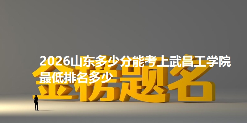2026山东多少分能考上武昌工学院 最低排名多少