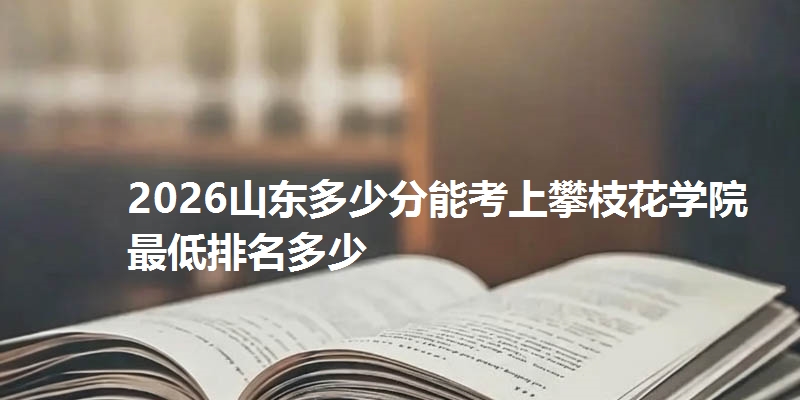 2026山东多少分能考上攀枝花学院 最低排名多少