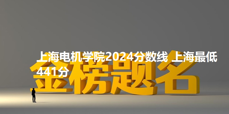 上海电机学院2024分数线 上海最低441分