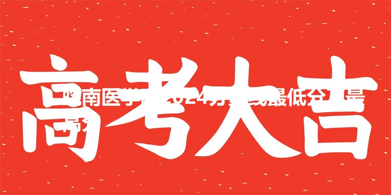 皖南医学院2024分数线最低分及最高分