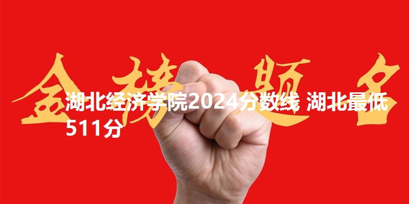 湖北经济学院2024分数线 湖北最低511分
