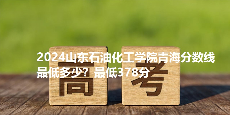 2024山东石油化工学院青海分数线最低多少？最低378分