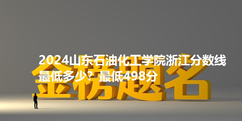 2024山东石油化工学院浙江分数线最低多少？最低498分