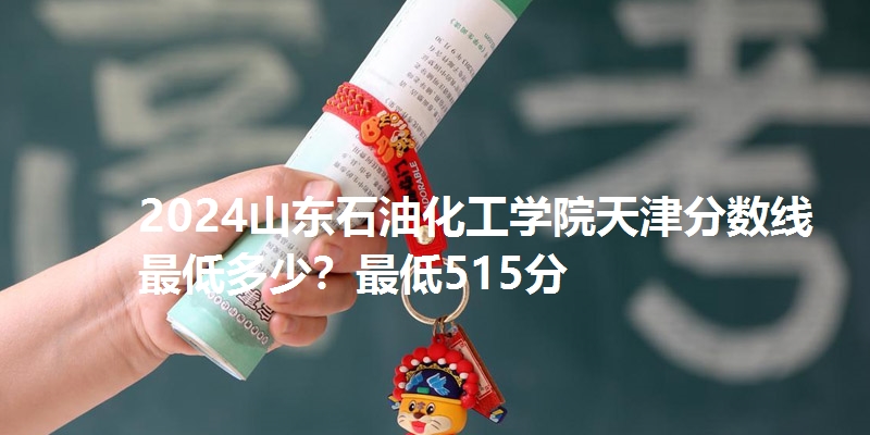 2024山东石油化工学院天津分数线最低多少？最低515分