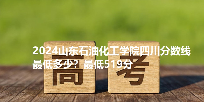 2024山东石油化工学院四川分数线最低多少？最低519分