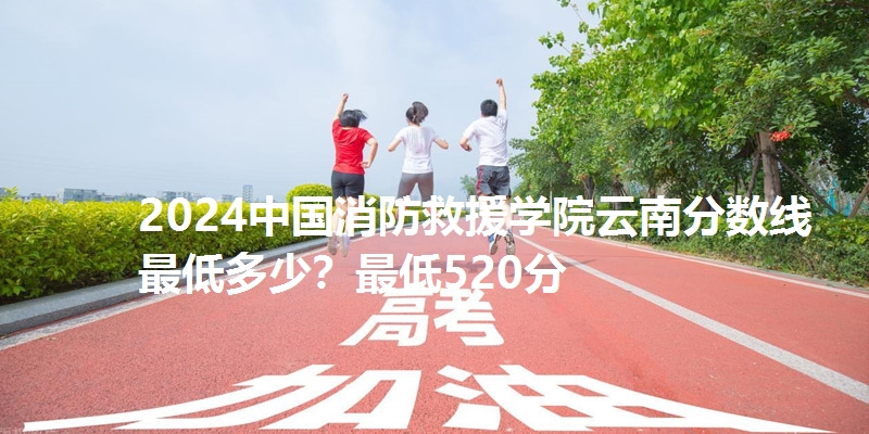 2024中国消防救援学院云南分数线最低多少？最低520分