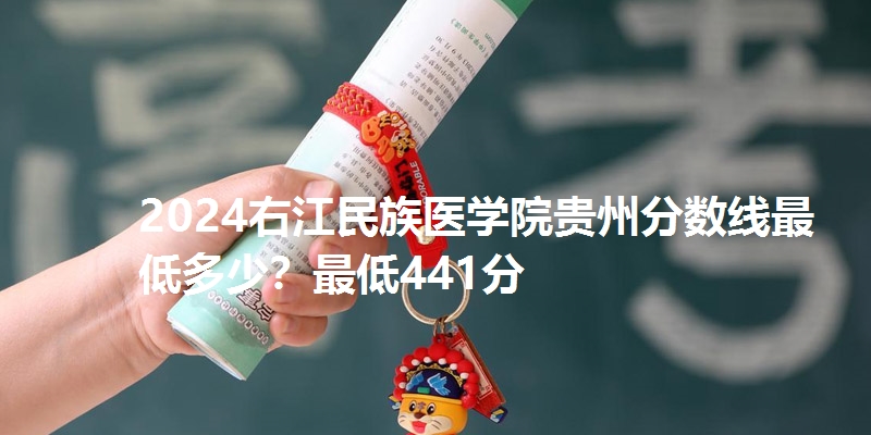 2024右江民族医学院贵州分数线最低多少？最低441分