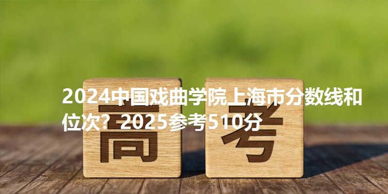 2024中国戏曲学院上海市分数线和位次？2025参考510分