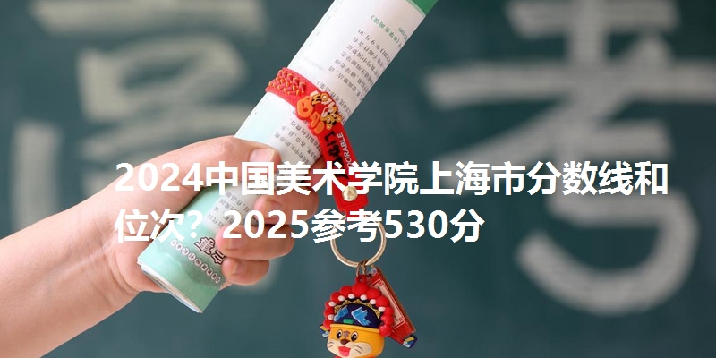 2024中国美术学院上海市分数线和位次？2025参考530分