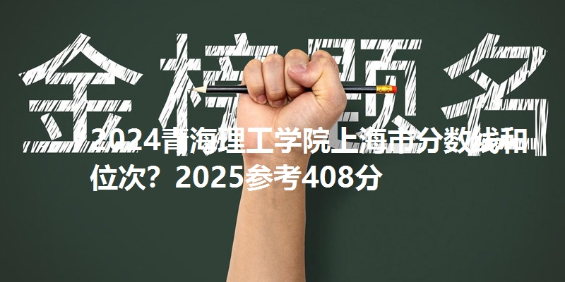 2024青海理工学院上海市分数线和位次？2025参考408分