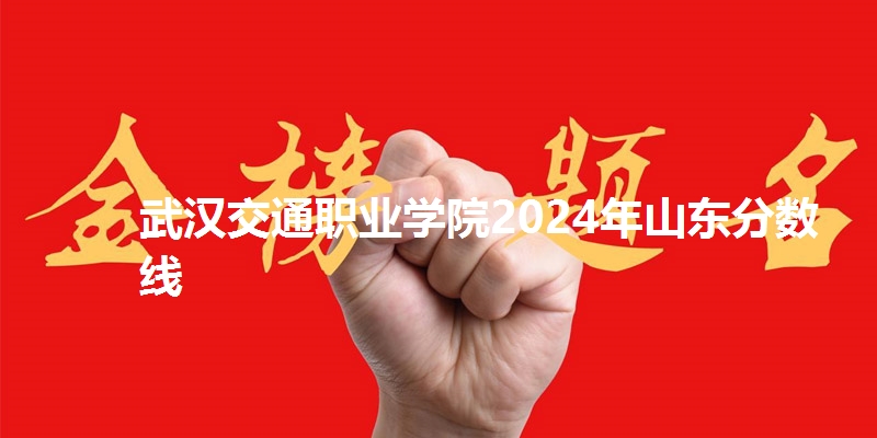 武汉交通职业学院2024年山东分数线