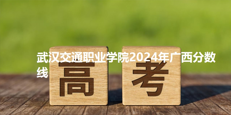 武汉交通职业学院2024年广西分数线