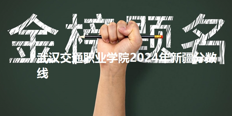 武汉交通职业学院2024年新疆分数线