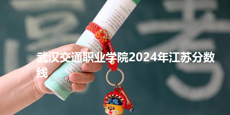 武汉交通职业学院2024年江苏分数线