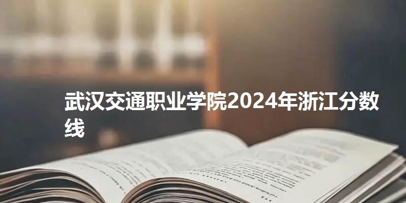武汉交通职业学院2024年浙江分数线