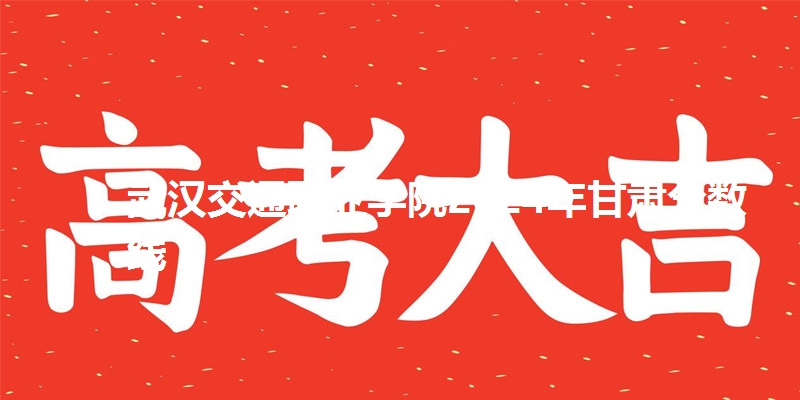 武汉交通职业学院2024年甘肃分数线