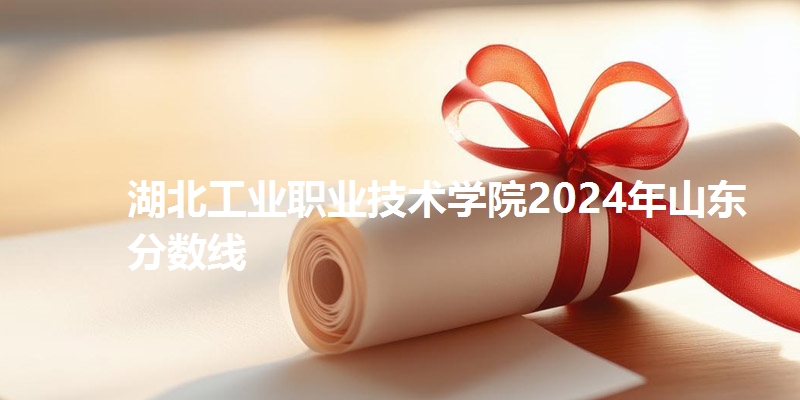 湖北工业职业技术学院2024年山东分数线