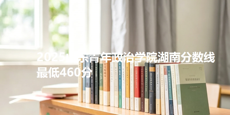 2025山东青年政治学院湖南分数线最低460分