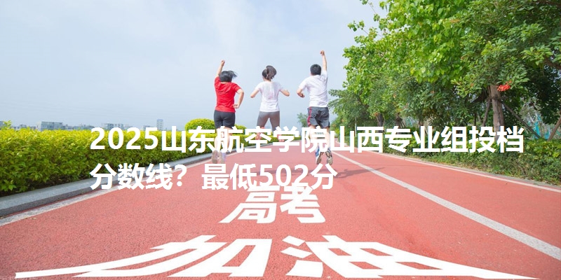2025山东航空学院山西专业组投档分数线？最低502分