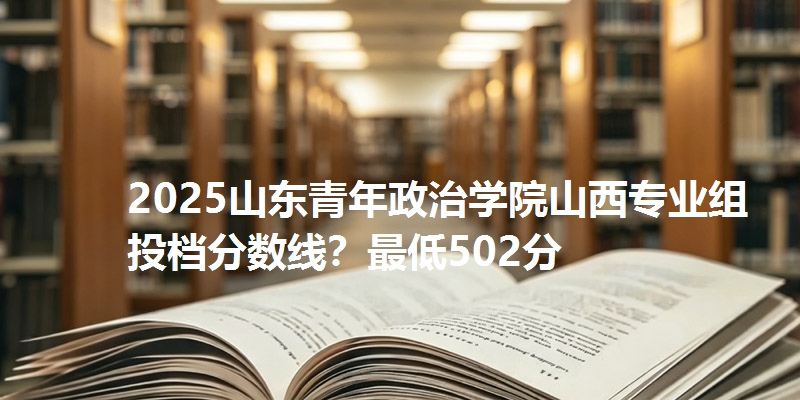 2025山东青年政治学院山西专业组投档分数线？最低502分