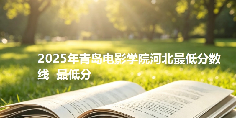 2025年青岛电影学院河北最低分数线  最低分