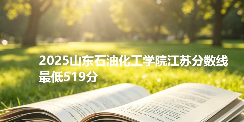 2025山东石油化工学院江苏分数线最低519分