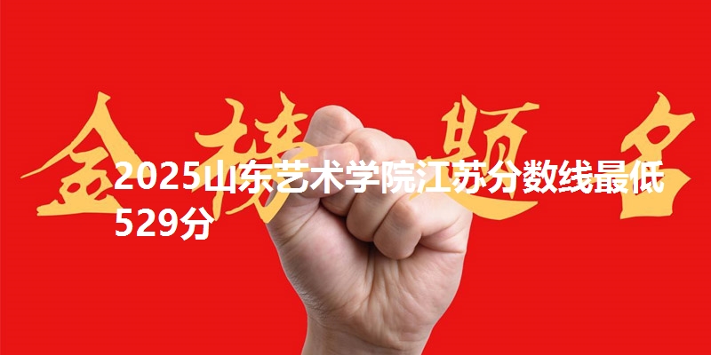 2025山东艺术学院江苏分数线最低529分