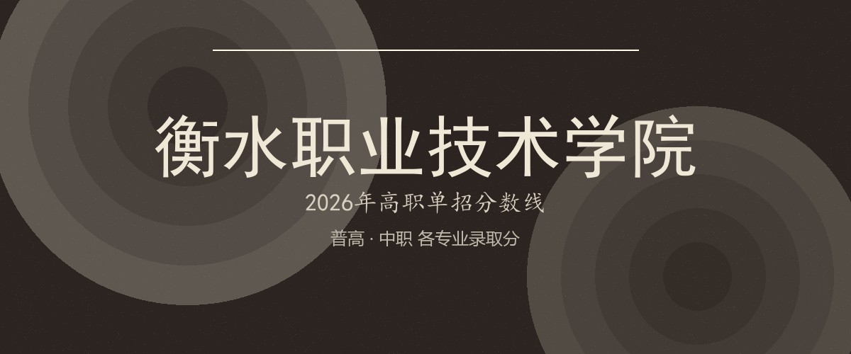 衡水职业技术学院(武邑校区,中外合作办学)2026单招分数线