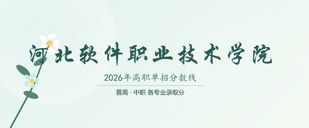 河北软件职业技术学院(中外合作办学)2026单招分数线