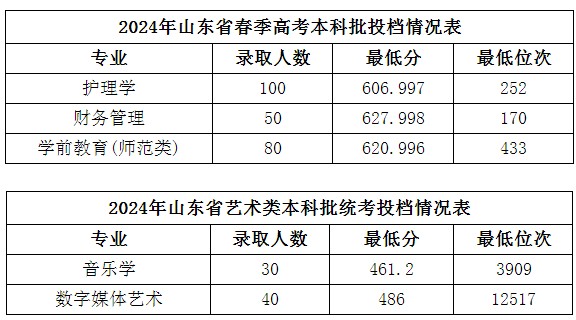 山东石油化工学院2024春考分数线