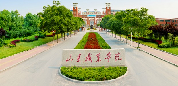 山东职业学院